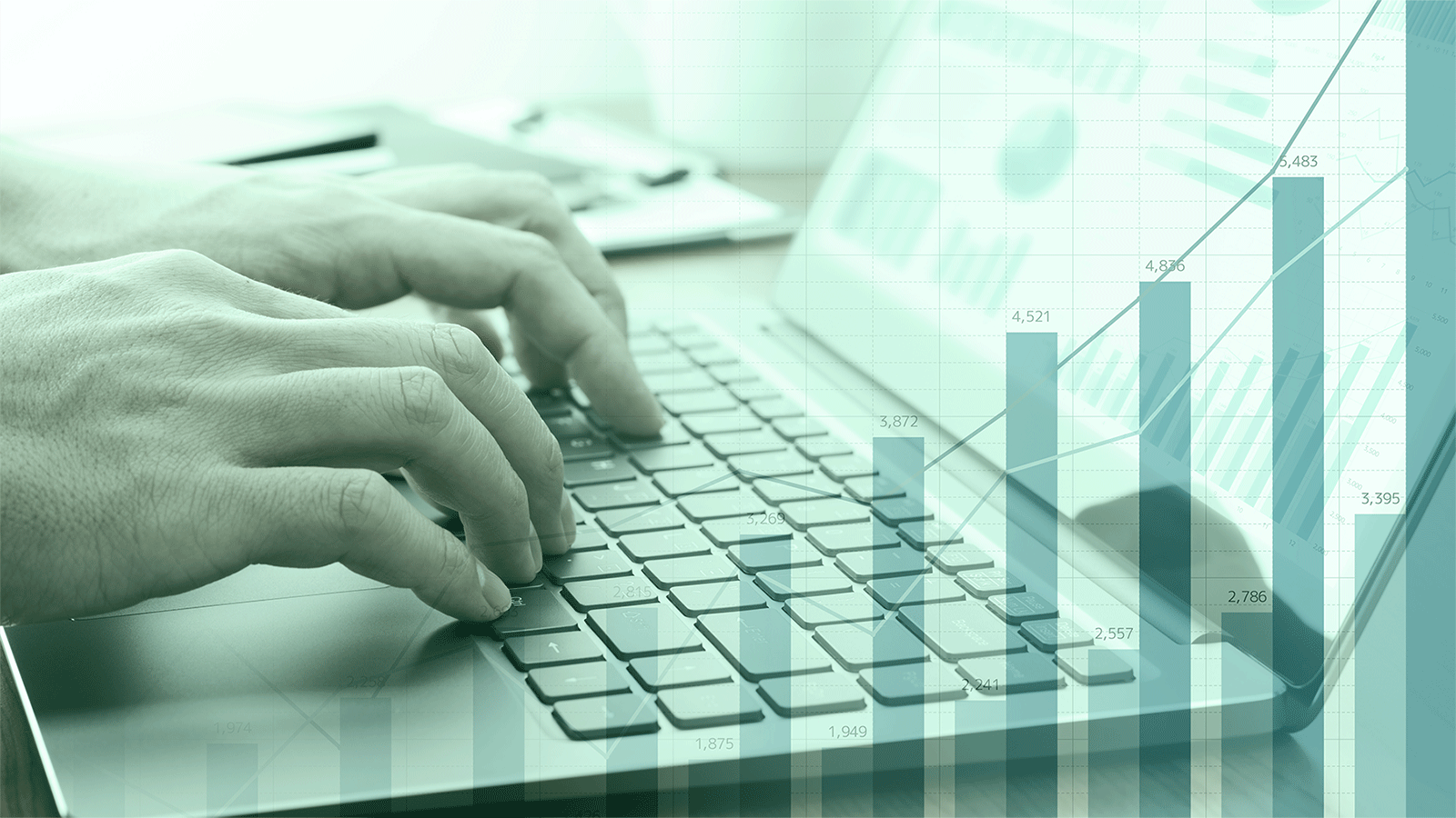 Credit Risk Workshop